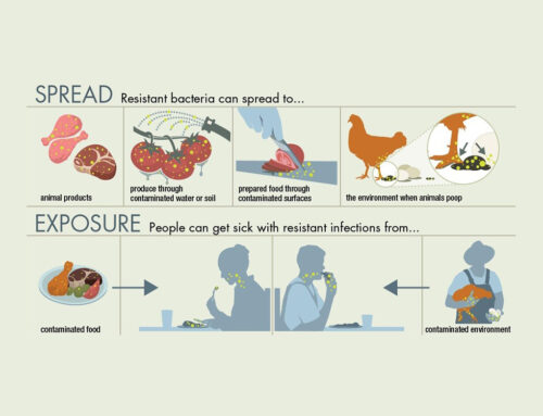 Antimicrobial Resistance in Poultry: A global threat