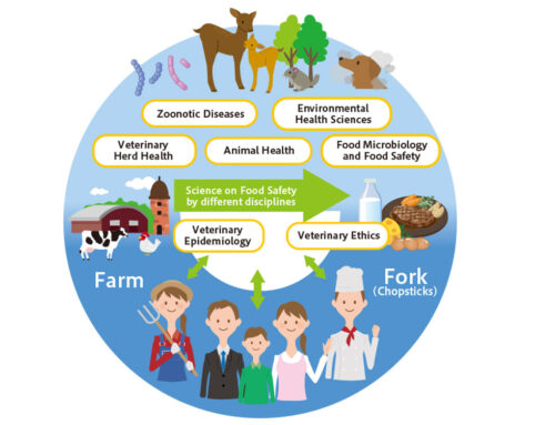 Role of Veterinarians for Animal Food Safety and Animal Welfare