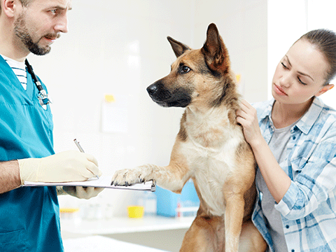 consultation 01 biocarepethospital