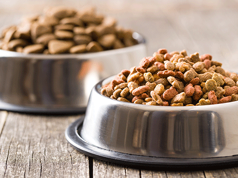 nutrition 06 biocarepethospital