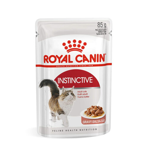 Royal Canin wet food Instictive 85gm